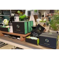 Oesterkaars Uneven Small Box 1 Oyster Candle Natural